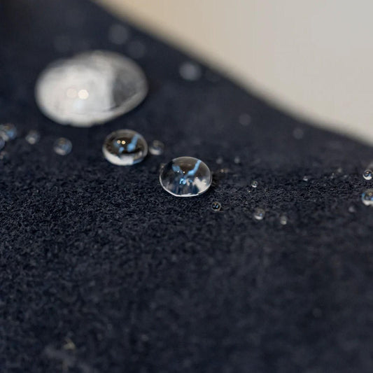 Prosheld Guardian Spray 100ML (Pack of 2)